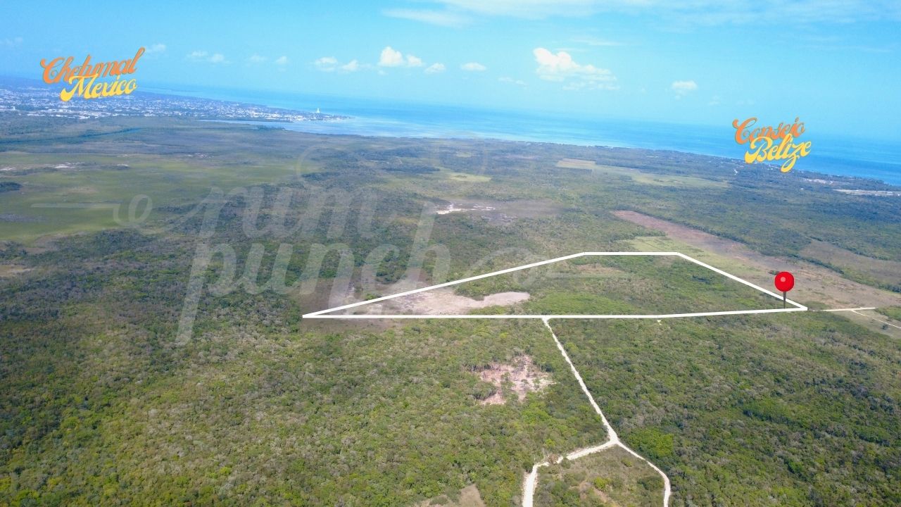 33 Acres Near Consejo Road – Fresh Water, Fertile Soil & Investment Potential