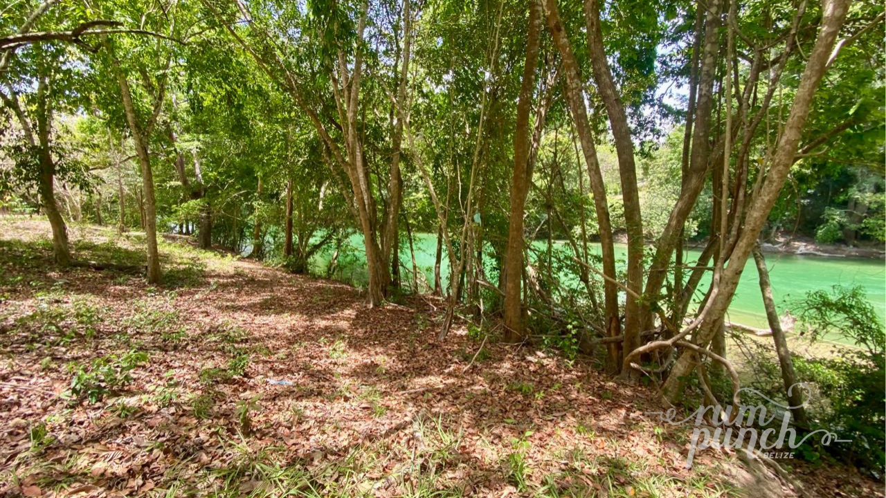 Stunning Riverfront Property Near San Ignacio – 0.46 Acres