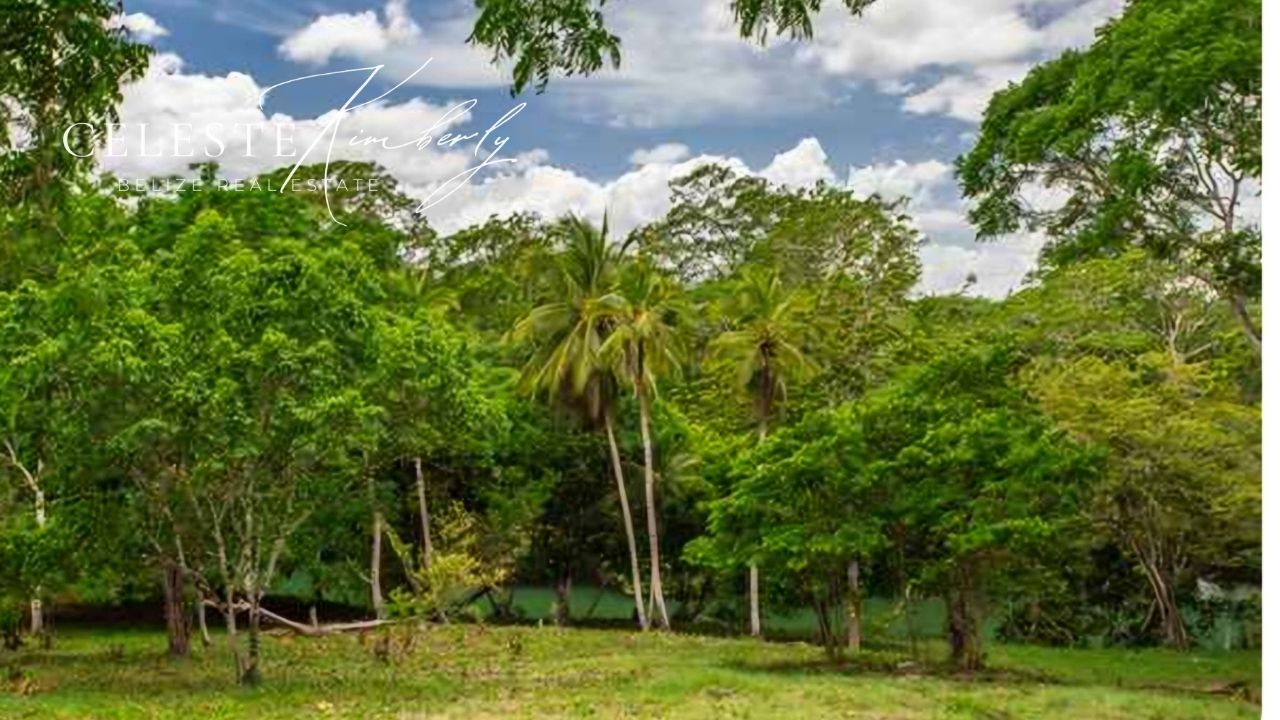 O.43 Acres Of Jungle Lot, San Ignacio, Cayo