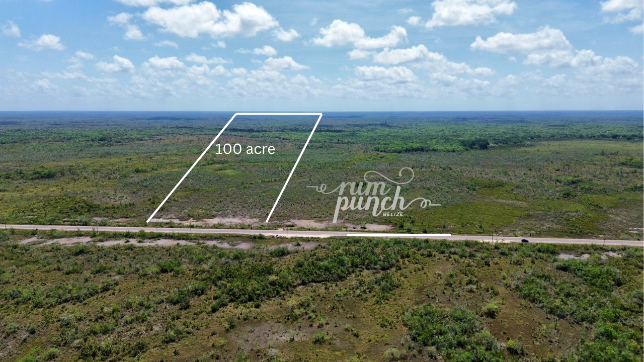 Prime 100-Acre Property – Ideal for Agriculture, Livestock, or Residential Development