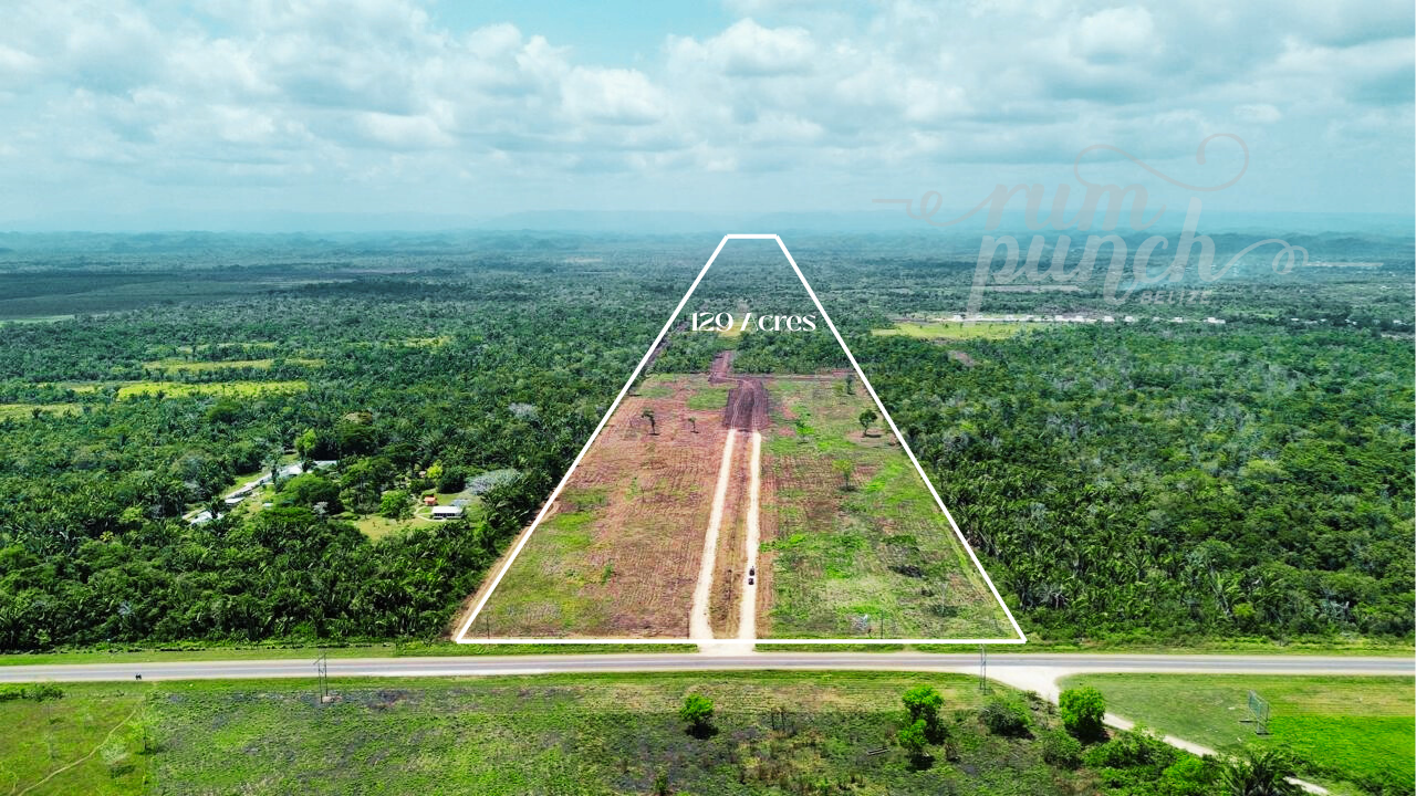 129 Acres for Sale – Prime George Price Highway Frontage, Near Cotton Tree Village