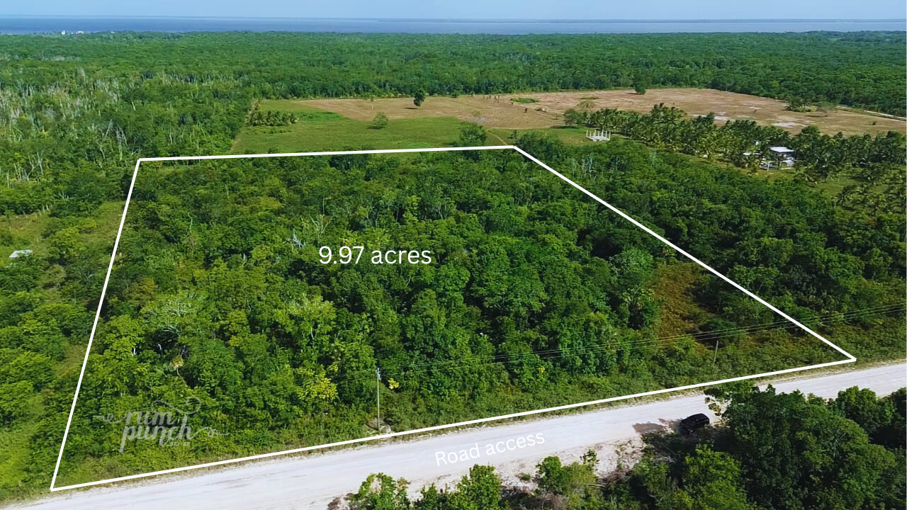 9.97 Acres for Sale on Consejo Road – Prime Investment Opportunity!